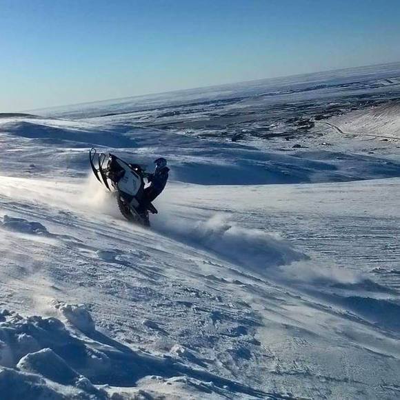 Meet your Posher, Dixie - Picture 1 of 1